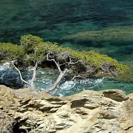 Parc - Maeva Appartement Hyères